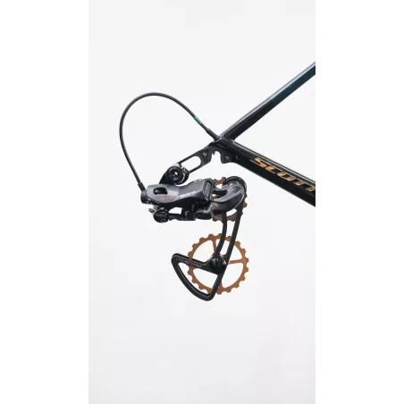 Oversized pulley wheels system for Campagnolo 11/12s on a derailleur